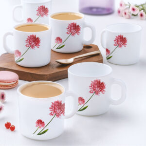 Blend Double Wall Cup 250ml Set of 8