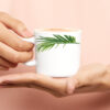 Crescent Mug Set, 180ml x 6