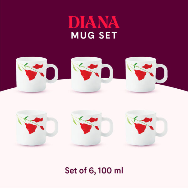 Larah by Borosil Diana Mug Set, 240ml x 2