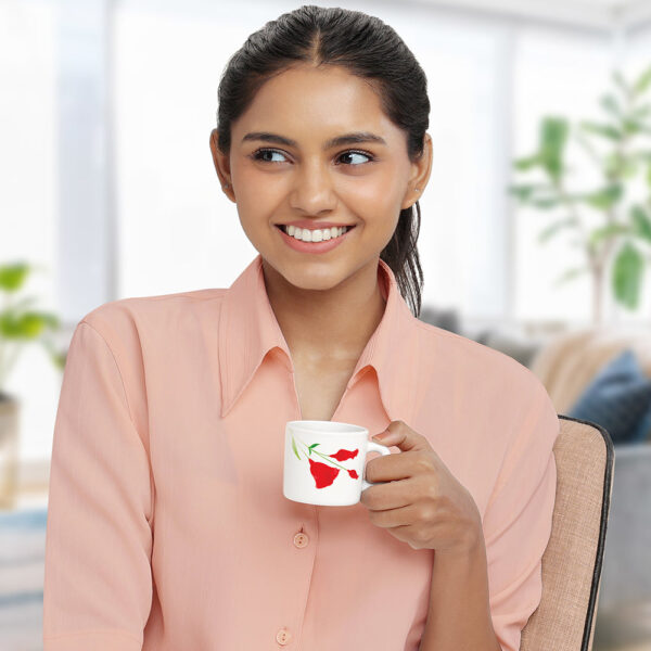 Larah by Borosil Diana Mug Set, 240ml x 2