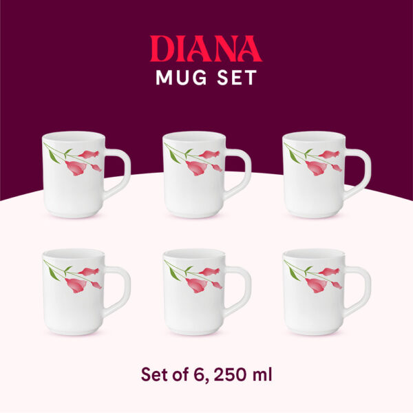 Larah by Borosil Diana Mug Set, 240ml x 2
